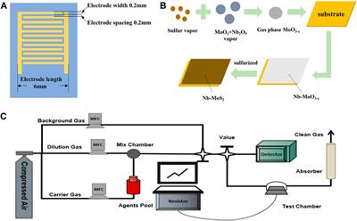 Homogeneously niobium-doped MoS2 for rapid and high-sensitive detection of typical chemical warfare agents